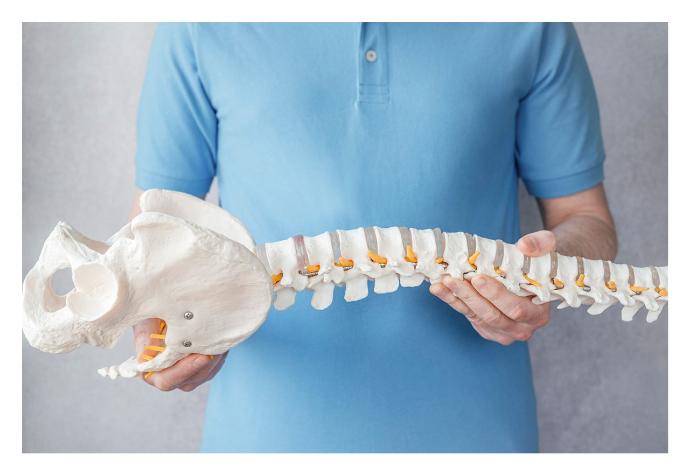 columna-cuidado-quiropractico