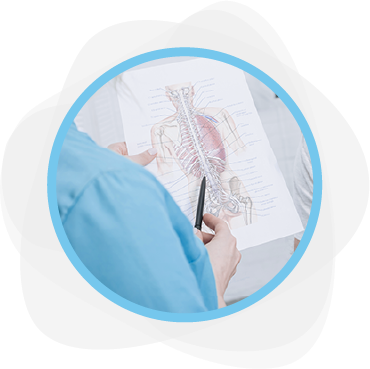 explicacion de como funciona el cuerpo humano con la quiropractica