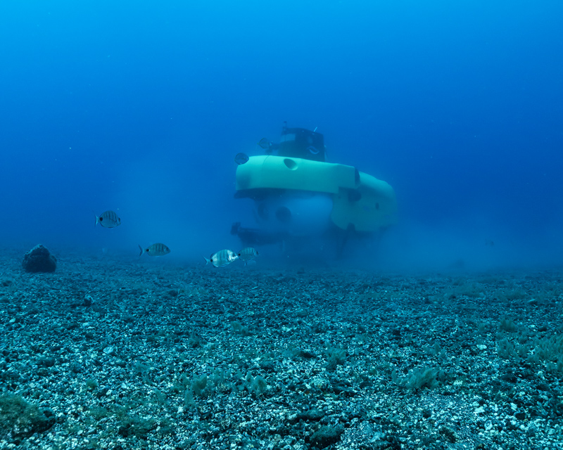 underwater-life-pisces-vi