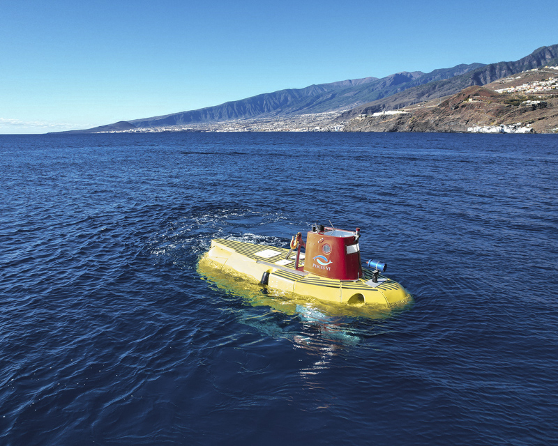 pisces-sub-out-water